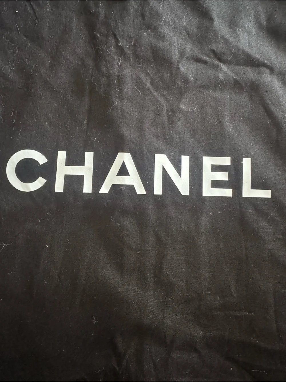 CHANEL Black Men’s Garment Travel Bag with White Logo